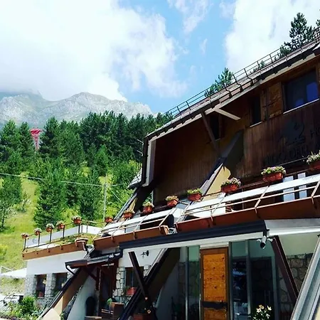 Nido Dell'aquila 3* Ассерджи